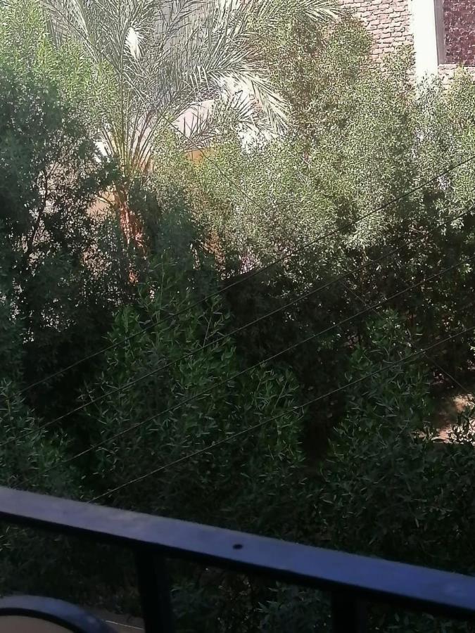 Winter Guest House Luxor Exterior foto