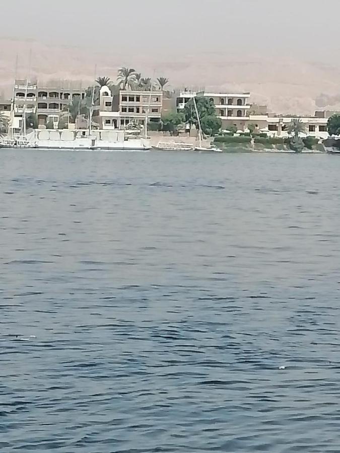 Winter Guest House Luxor Exterior foto