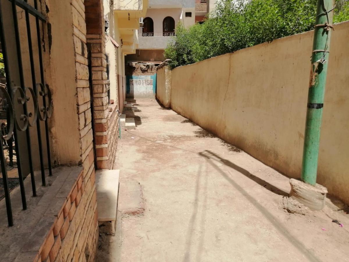 Winter Guest House Luxor Exterior foto